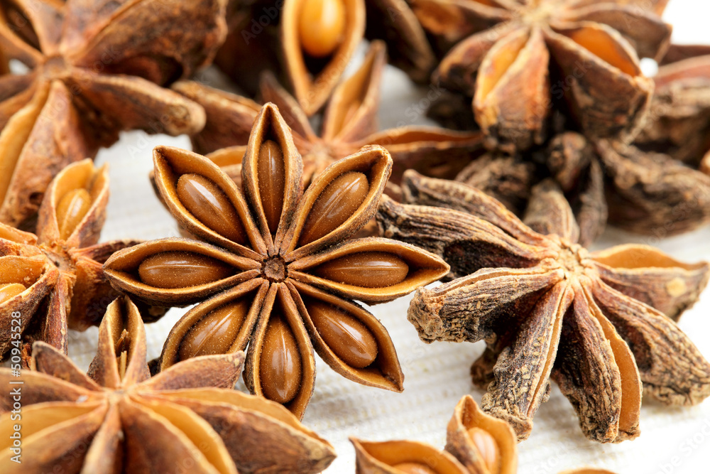 Anise stars Anise stars
