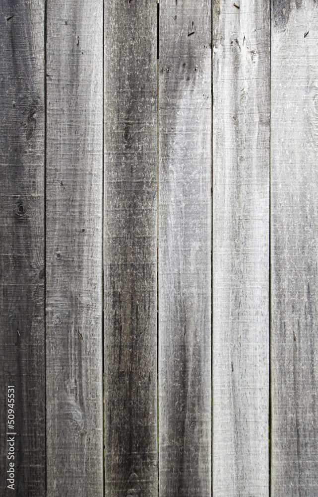 Fototapeta premium Old wood rot