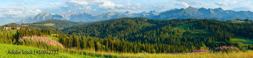 Summer mountain country panorama. #50952722