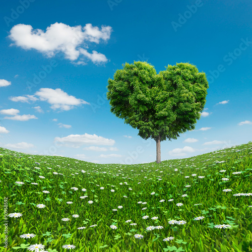 Heart shaped Tree green foliage, love
