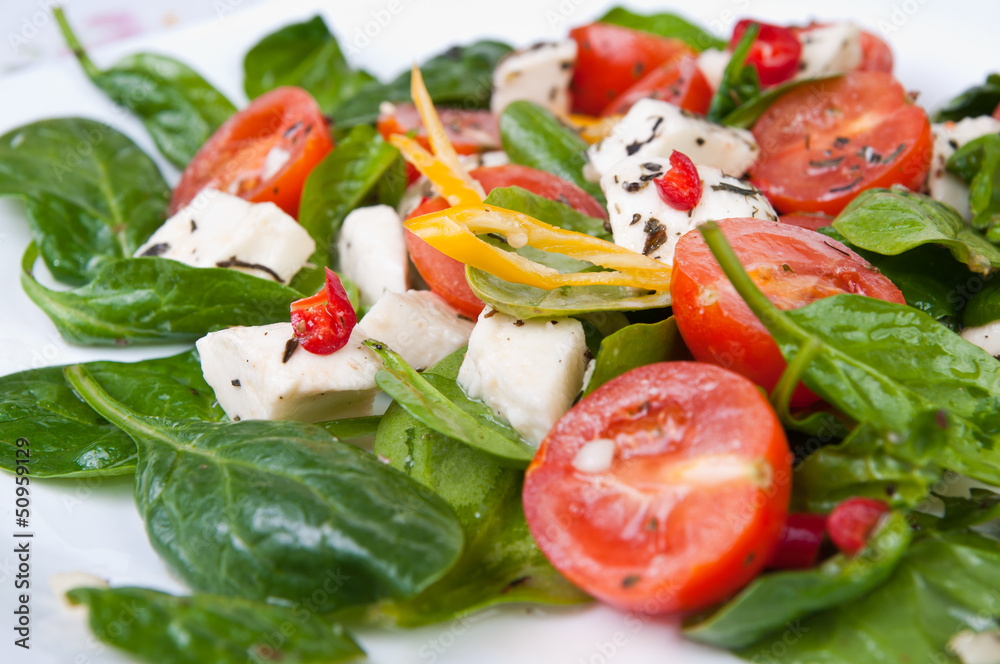 spinach lettuce spinach lettuce