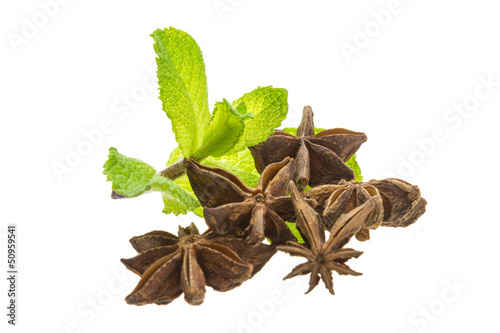 Star Anise and Mint