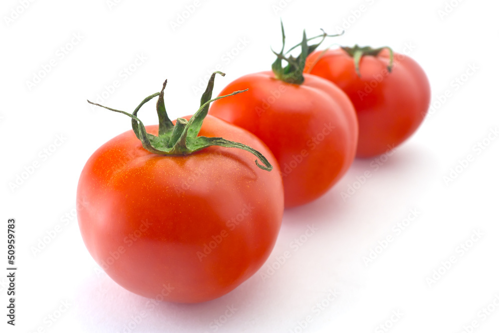 tomatoes on white background