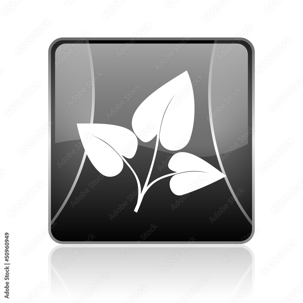 eco black square web glossy icon