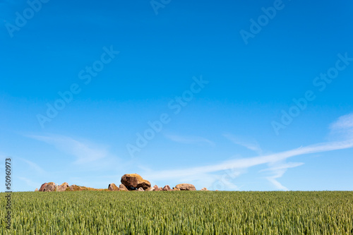 Großsteingrab auf der Insel Langeland, Dänemark photo