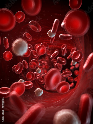 Photos 3d rendered illustration of the human blood