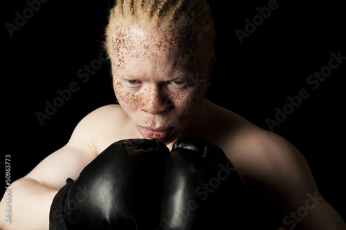 Albino Boxer photo