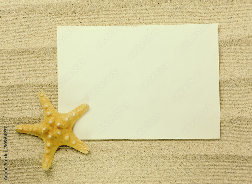 starfish and shells with frame on the beach, vacation memories starfish and shells with frame on the beach, vacation memories