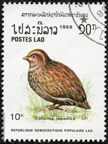 stamp printed in Laos shows Coturnix japonica or Japanese Quail