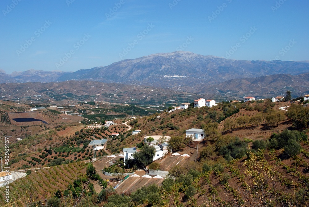 Andalusian countryside, Iznate, Spain © Arena Photo UK Andalusian countryside, Iznate, Spain © Arena Photo UK