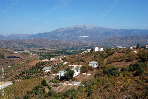 Andalusian countryside, Iznate, Spain © Arena Photo UK