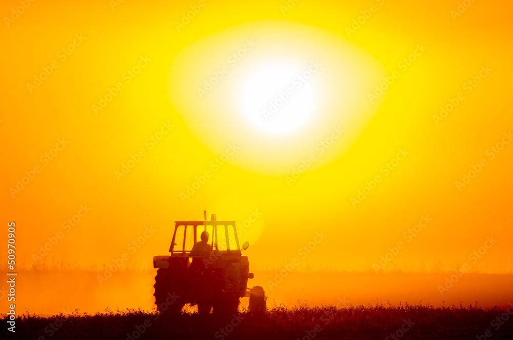 Fototapeta premium Agriculture