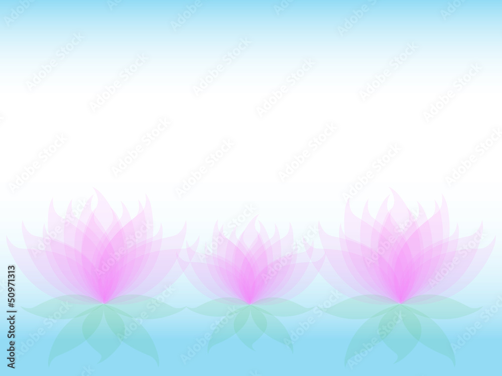 Soft waterlily card