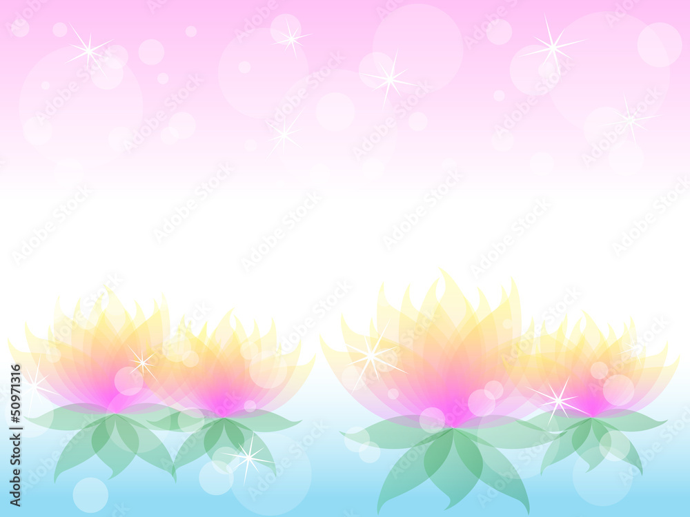 Soft waterlily flower with pink
