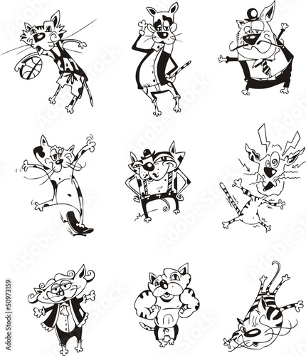Funny cats