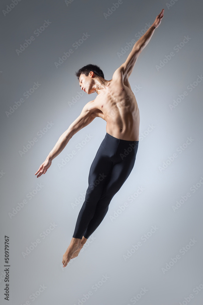 the dancer the dancer