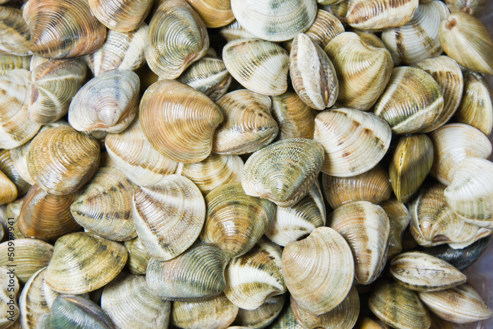 shellfish in a market