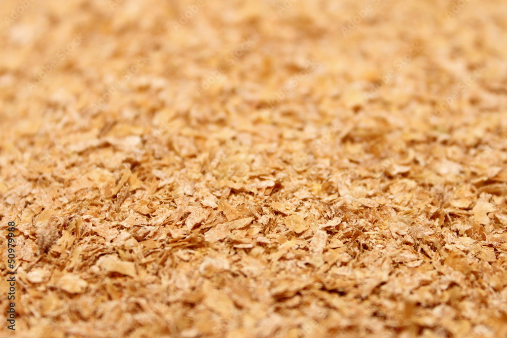 golden linseeds or golden flax seeds golden linseeds or golden flax seeds