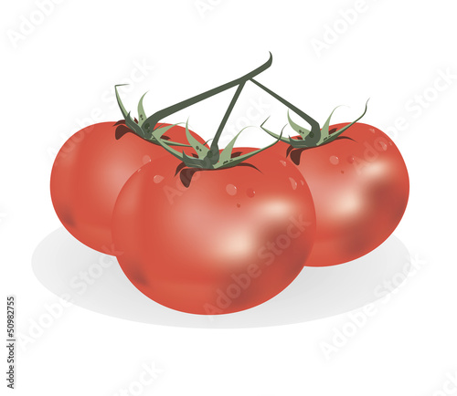 red tomato