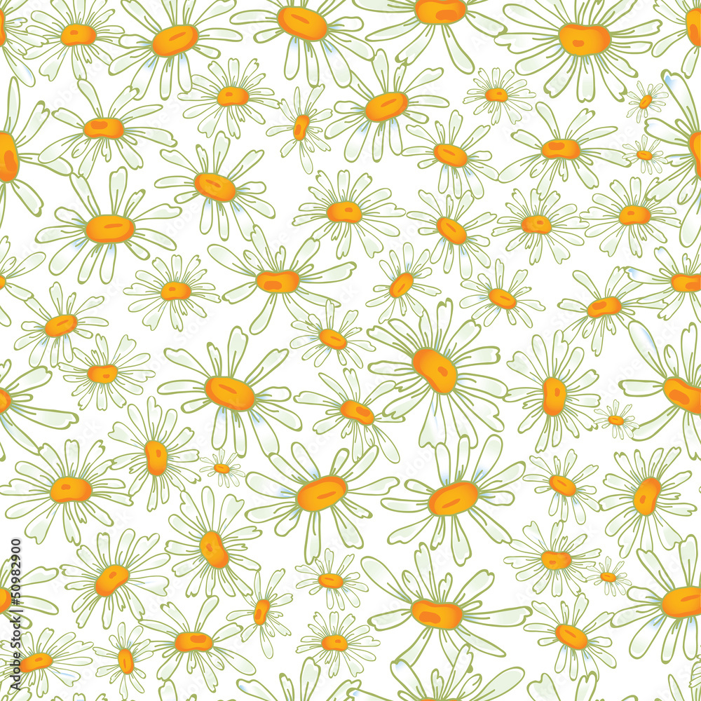 Camomile seamless pattern Camomile seamless pattern