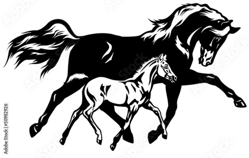 mare with foal