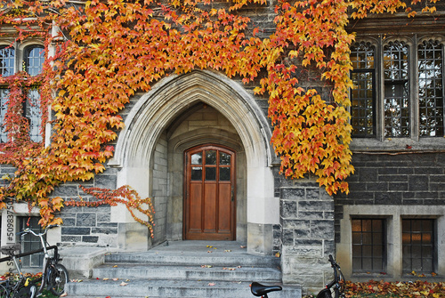 College door with fall ivy