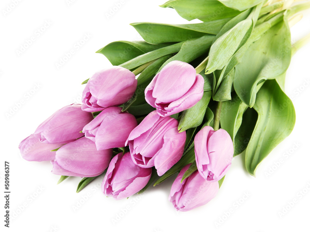 Beautiful bouquet of purple tulips, isolated on white Beautiful bouquet of purple tulips, isolated on white