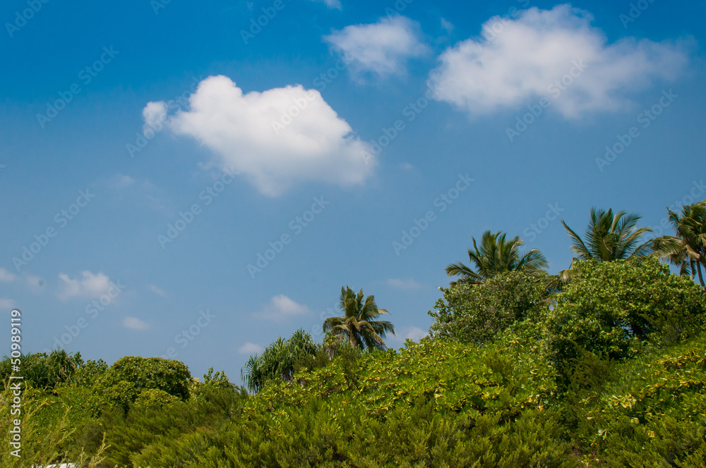 Sky Sky
