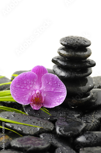 Still life with beautiful pink orchid and stacked stones with green palm leaf