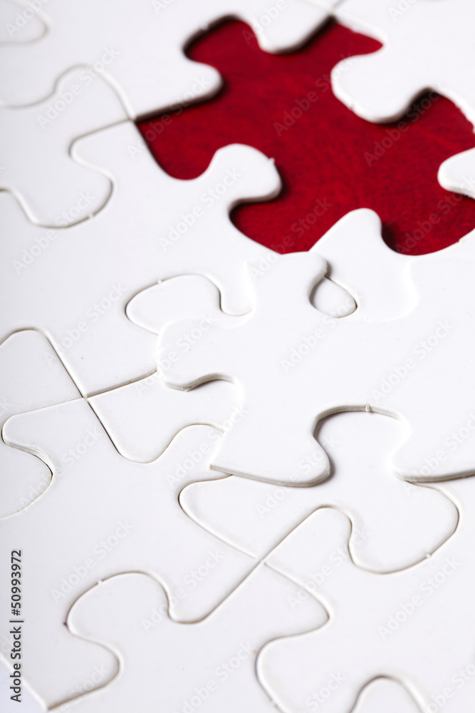 piece of jigsaw puzzle