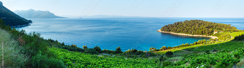 Summer  sea coastline view (Croatia)