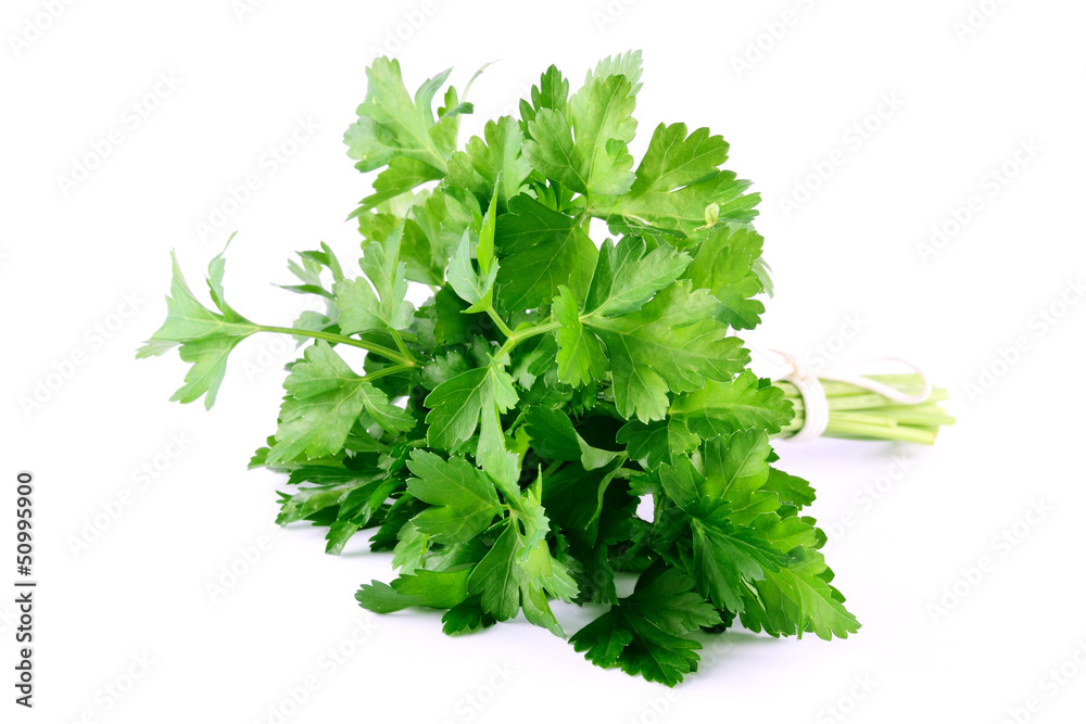 Green celery isolated on white background