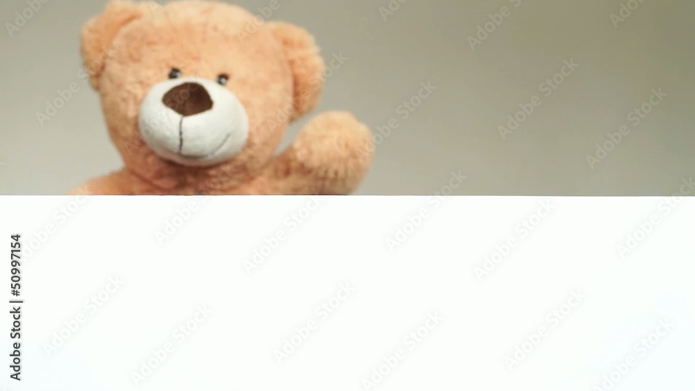 Teddy looks and waves on an empty plate