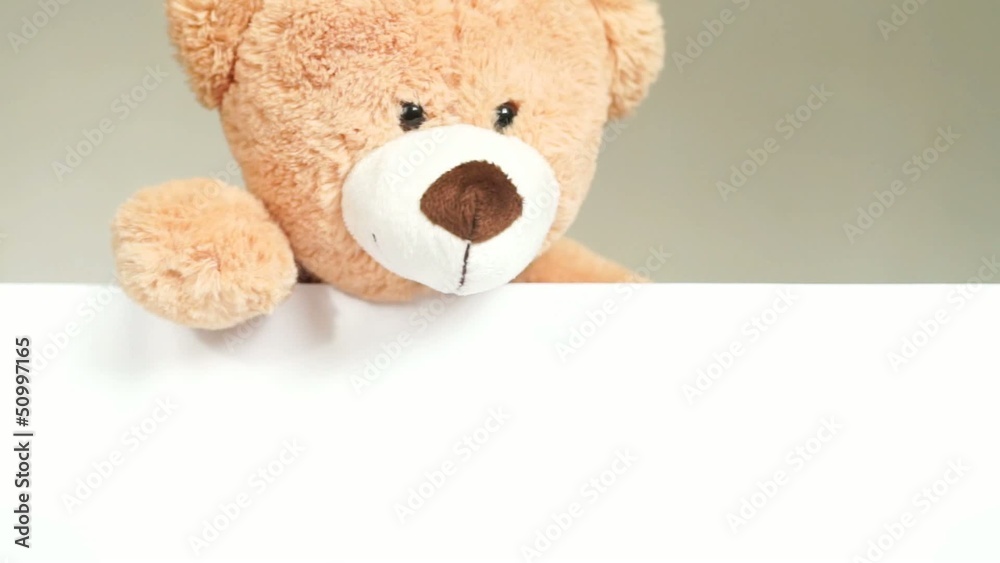 Teddy looks over an empty plate