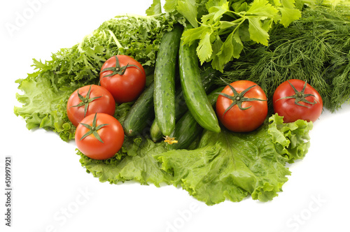 red tomato and green cucumber on green lettuce