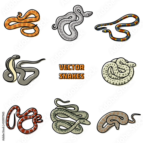 Vector snakes