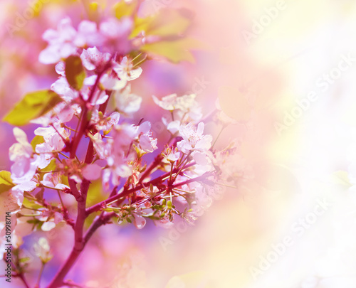 Beautiful spring floral background