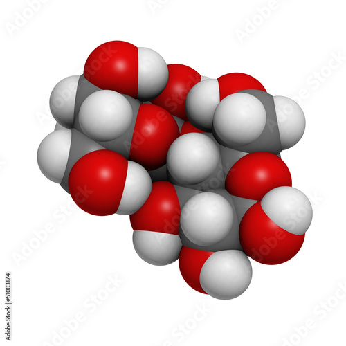 Maltose (maltobiose, malt sugar), molecular model © molekuul.be