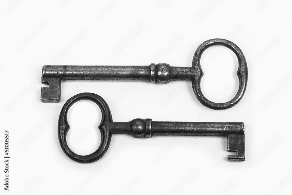 two parallel keys on a white background two parallel keys on a white background