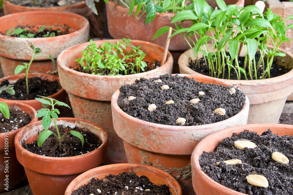 planting planting
