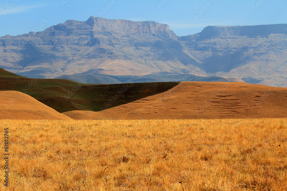 Fototapeta premium Drakensberg