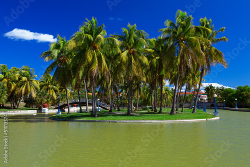 Photography Island With Palm Trees