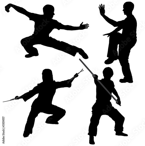 Kung Fu Fighter Silhouette