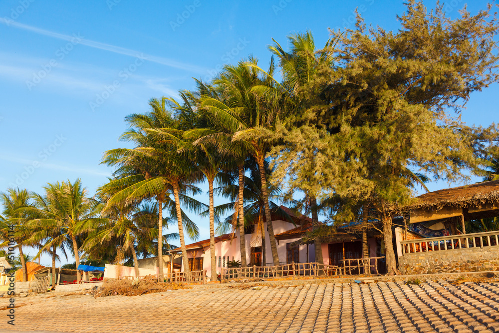 beach, palm trees and houses