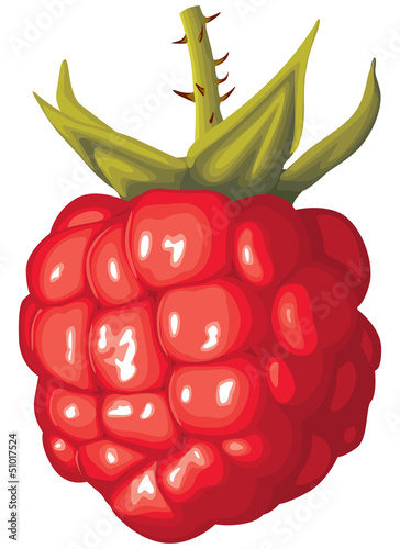 Raspberry