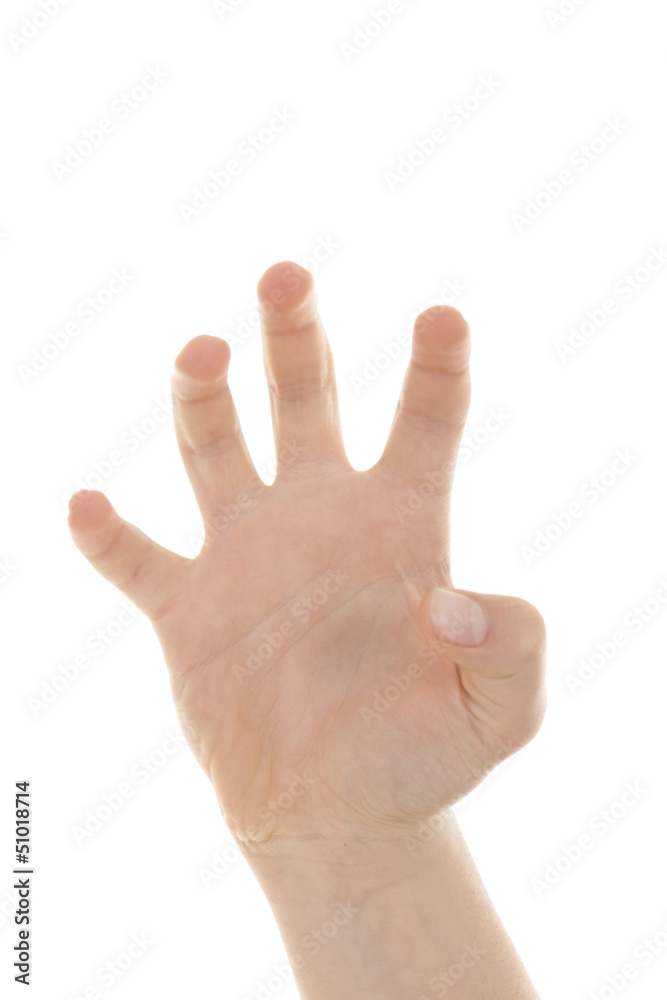 Various signs hands and palms isolated on white background Various signs hands and palms isolated on white background