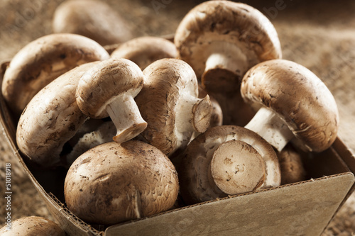 Organic Brown Baby Bella Mushrooms