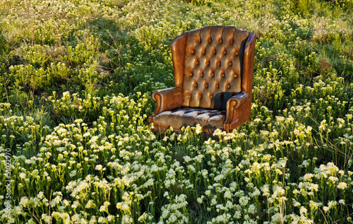 Chair in a field of flowers photo