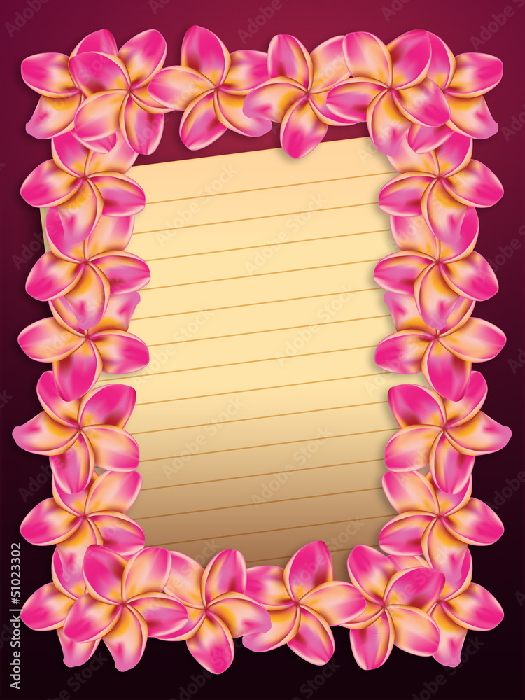 Pink plumeria flowers frame with paper