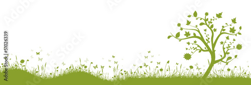 grüne Wiese mit Baum